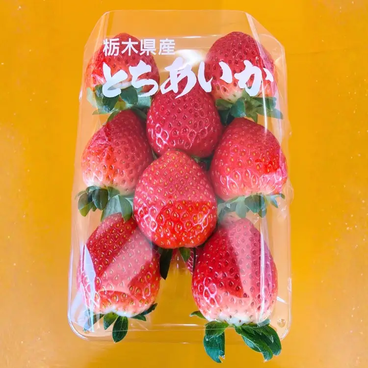 【先行予約】出会いの森いちご園 とちあいか （290g×2パック） | いちご イチゴ 苺 栃木県 果物 くだもの フルーツ とちあいか 新鮮 贈答 ギフト デザート スイーツ ※2026年12月～発送