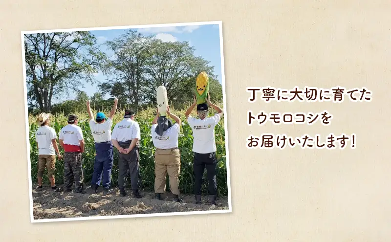 北海道 幕別町産 中山農園 朝どれ とうもろこし 3種 15本 （1本350g以上） [ 北海道産 スイートコーン 野菜  十勝 幕別 新鮮 テレビで紹介 ] 