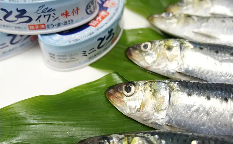 銚子産　ミニとろイワシ味付　12缶　缶詰 イワシ いわし 煮付け 常温保存 防災 備蓄 非常食 保存食 国産 キャンプ 千葉県 千葉市