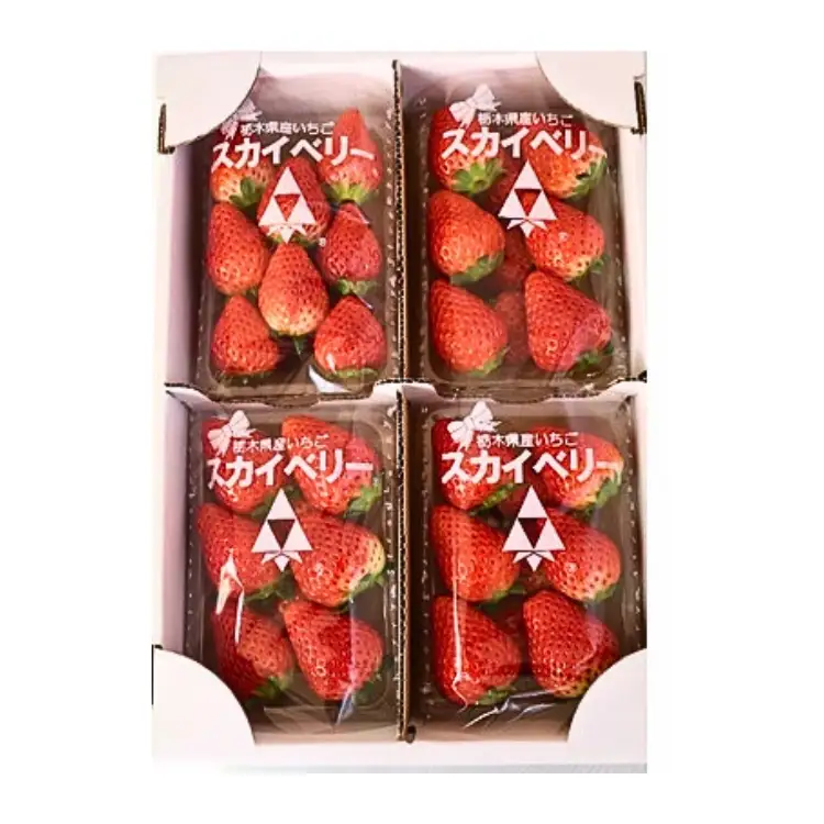 【先行予約】出会いの森いちご園 スカイベリー （290g×4パック） | いちご イチゴ 苺 栃木県 果物 くだもの フルーツ スカイベリー 新鮮 贈答 ギフト デザート スイーツ ※2026年12月～発送