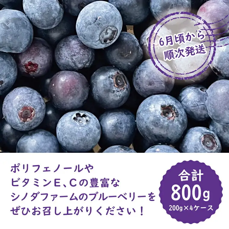 ブルーベリー
