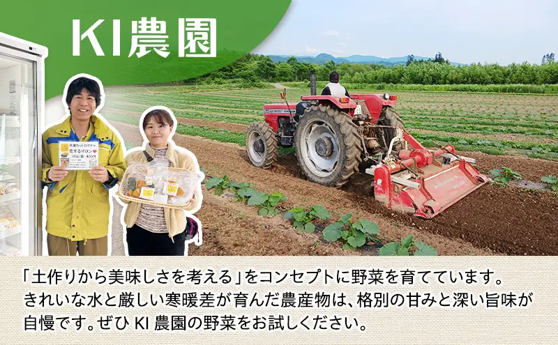 冷凍カットかぼちゃ「くりゆたか」 4kg(500g×8袋) カボチャ 南瓜 小分け 便利 国産 野菜  甘い お弁当 備蓄 カット済み スイーツ シチュー スープ パイ コロッケ 産地直送 北海道 美深町
