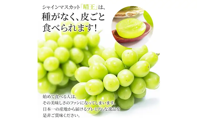 ぶどう シャインマスカット晴王【特大房】約1kg×2房 計2kg  橋田商店有限会社 シャインマスカット
