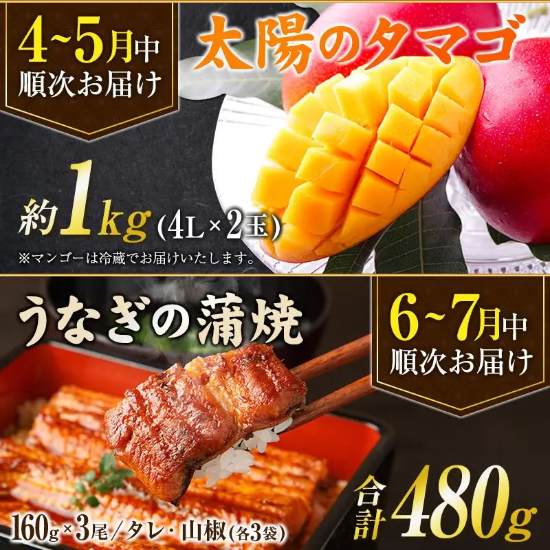 ＜全6回＞宮崎グルメ 定期便 （太陽のタマゴ うなぎ 宮崎牛 キャビア 伊勢海老） 特産品 詰め合わせ