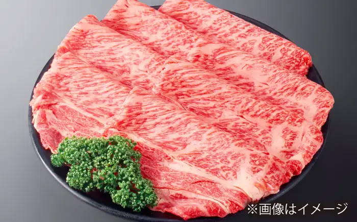 【全3回定期便】長崎和牛 モモスライス 総計3.0kg （約1.0kg/回）【ながさき西海農業協同組合】 [DBV023][DBV023]