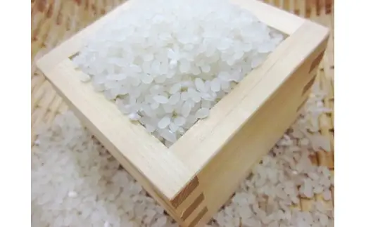 （無洗米６００ｇ）ホクレンゆめぴりか