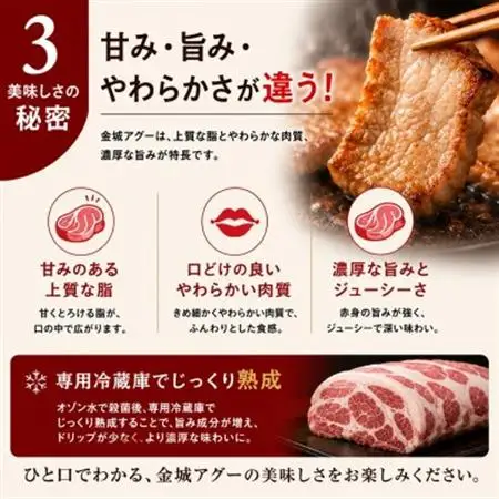 金城ミートのバーベキューセット 3人前(県産和牛・アグー豚・鶏・ウインナー・野菜付き)【配送不可地域：離島】【1731172】