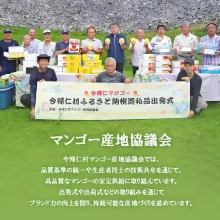 【2026年8月中旬から順次発送・訳あり】今帰仁産の幻のキーツマンゴー1kg(1～2玉)【配送不可地域：離島】【4014741】