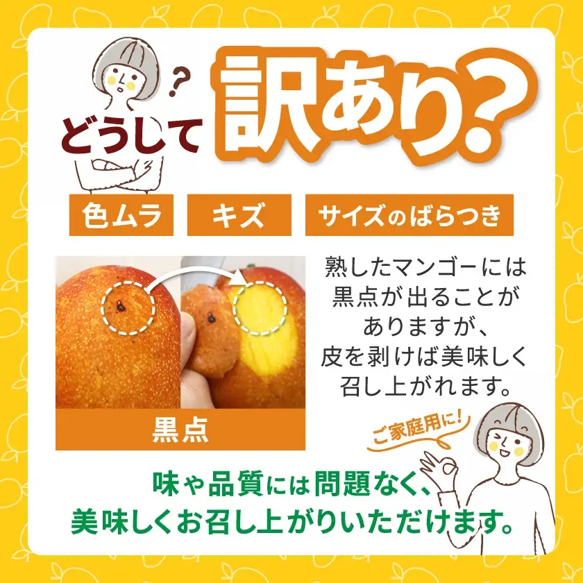【2026年6月下旬から順次発送・訳あり】今帰仁産のアップルマンゴー2kg(4～6玉)【配送不可地域：離島】【4014743】