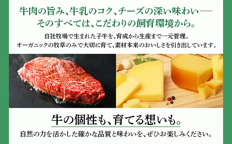 【カラービーフ】黒毛和牛ハンバーグ（150gｘ2個）【01131】