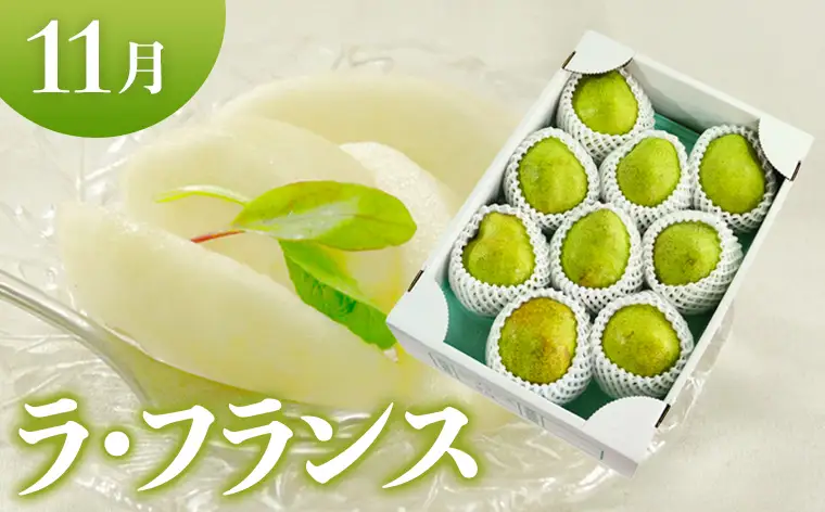 【定期便3回】やまがたフルーツ定期便 さくらんぼ /白桃/ラフランス FY26-075