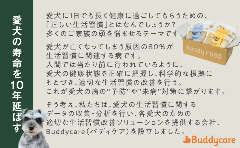 Buddy FOOD 人気6種 セットD K390-001_20 国産 魚 肉 ペットフード