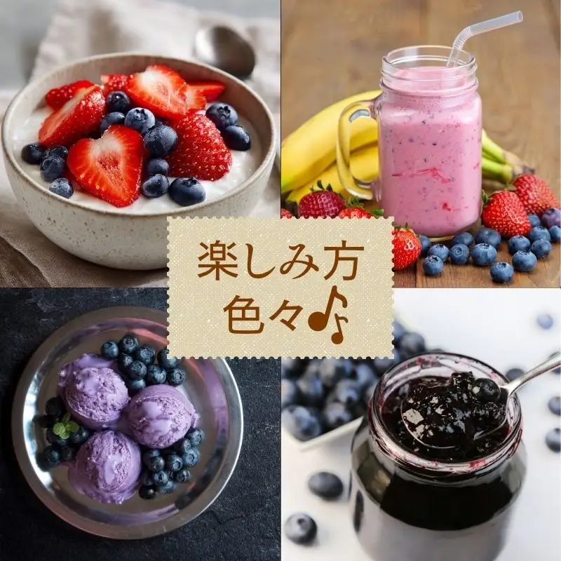 【令和８年分 先行予約】ブルーベリー 2kg 《三茶屋ブルーベリー園》