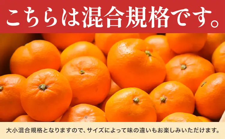 みかん 農園直送 有田の旬の食べごろ みかん 約5kg