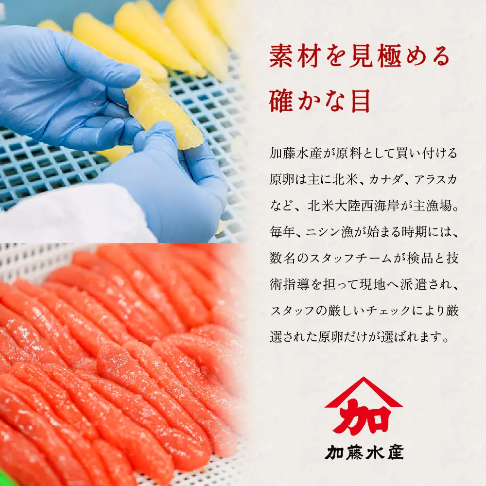 【 かずのこ の日 感謝価格 】 訳あり 子持昆布 300g カズノコ 数の子 昆布