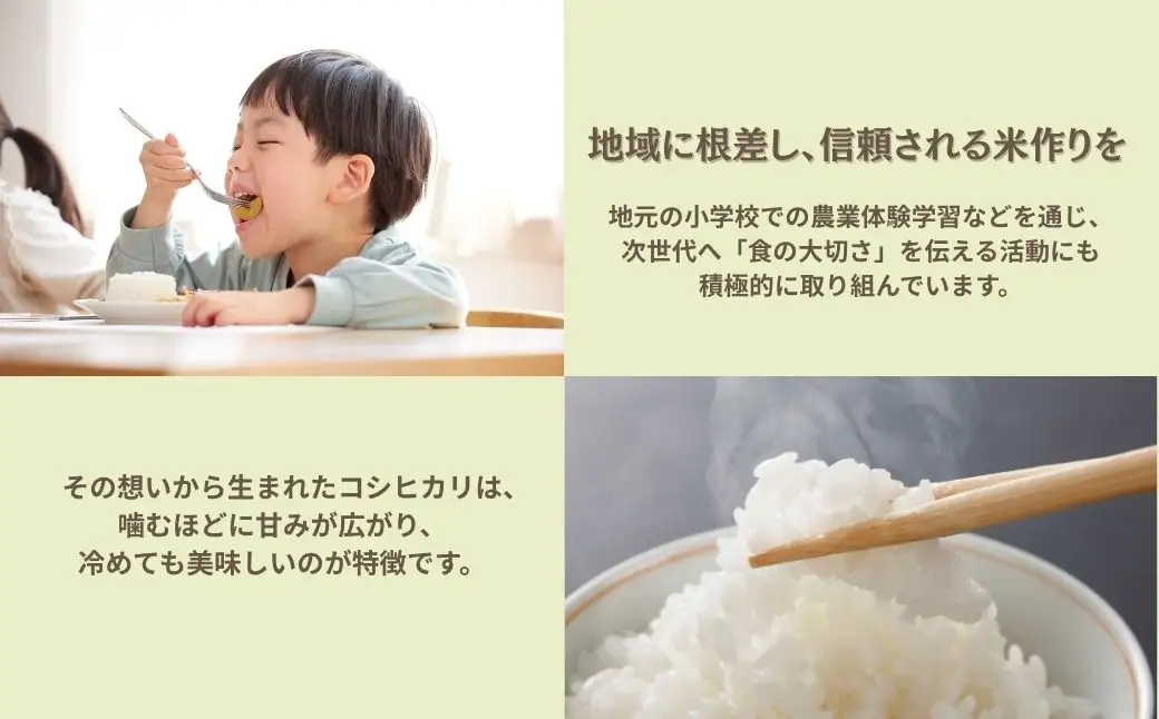 【先行予約】 令和8年産 コシヒカリ 玄米 30kg げんまい 石川県 小松市