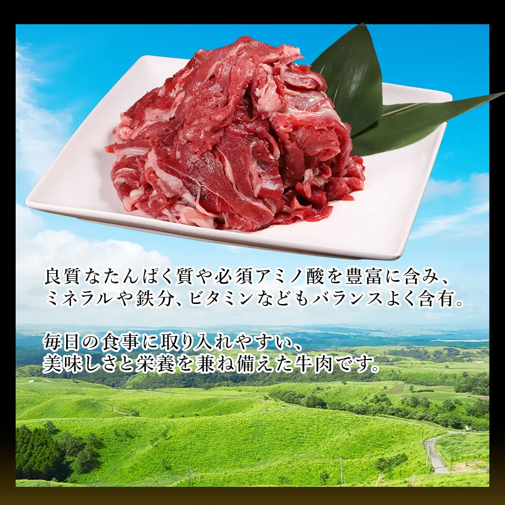 【ふるさと納税】 熊本産 あか牛 切り落とし 500g 肉 訳あり 不揃い 牛肉 国産牛 お肉 切落し 端っこ 小間切れ お取り寄せ 熊本県 水上村