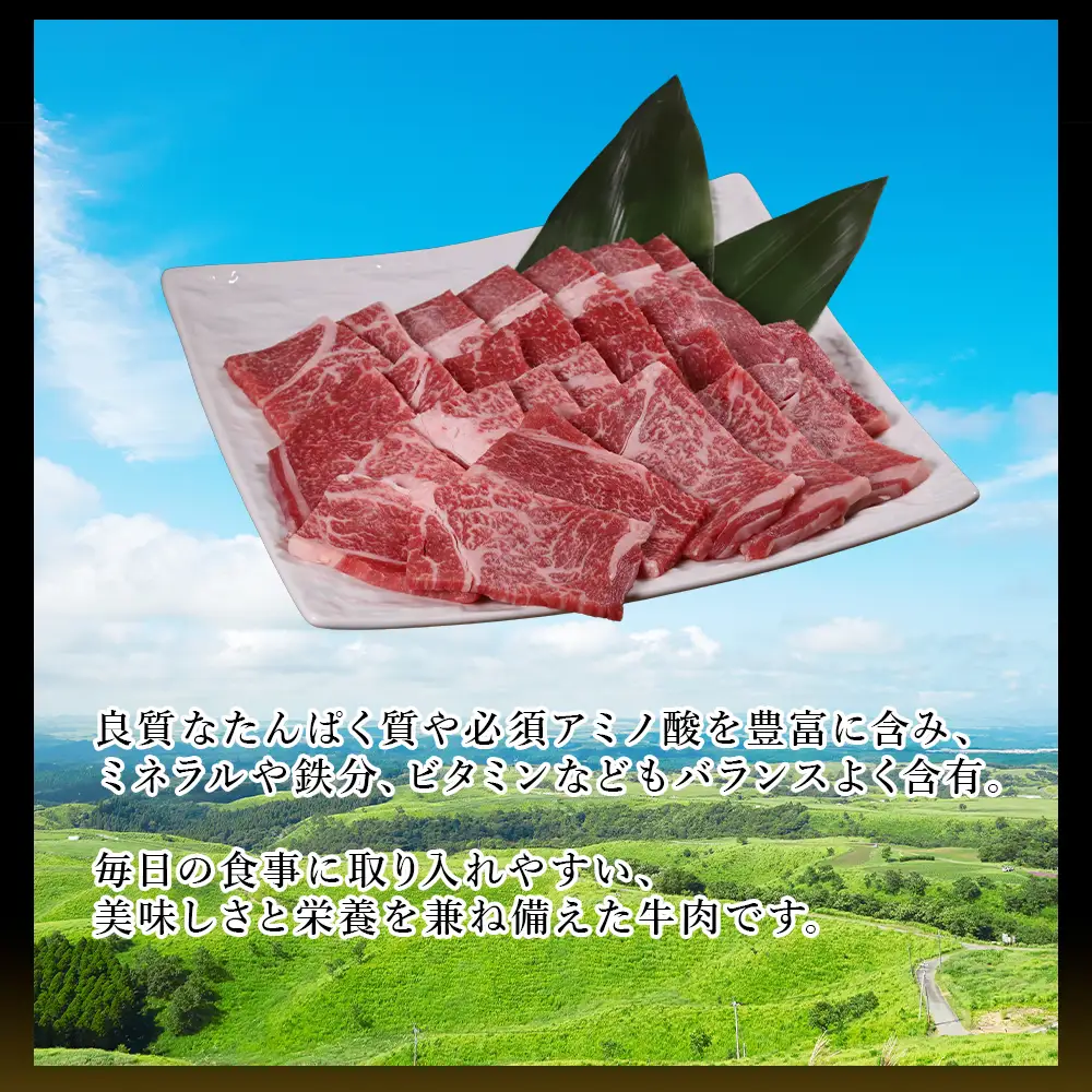 【ふるさと納税】 熊本産 あか牛 焼肉用 500g 肉 牛肉 赤身肉 あか牛焼肉 焼き肉 バーベキュー 冷凍 お取り寄せ 熊本県 水上村