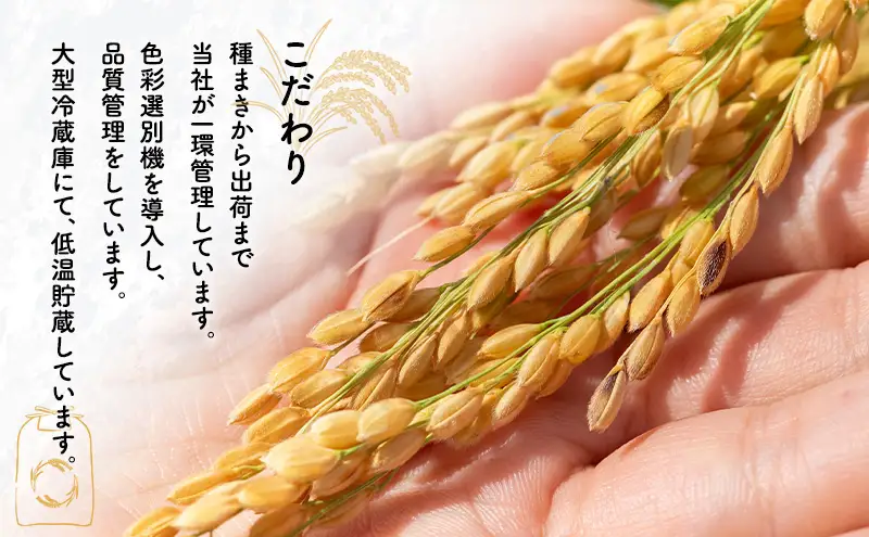 【先行予約 令和8年度産】6ヶ月定期便 あきたこまち 米 2kg 計12kg 精米 白米 秋田県 能代市 ブランド米