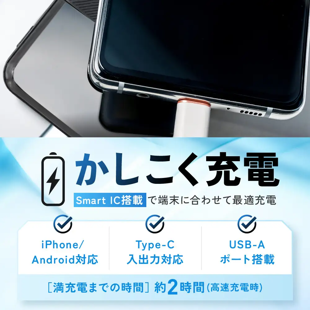 【チャコールグレー】ラスタバナナ 10000mAhリン酸鉄リチウムモバイルバッテリー