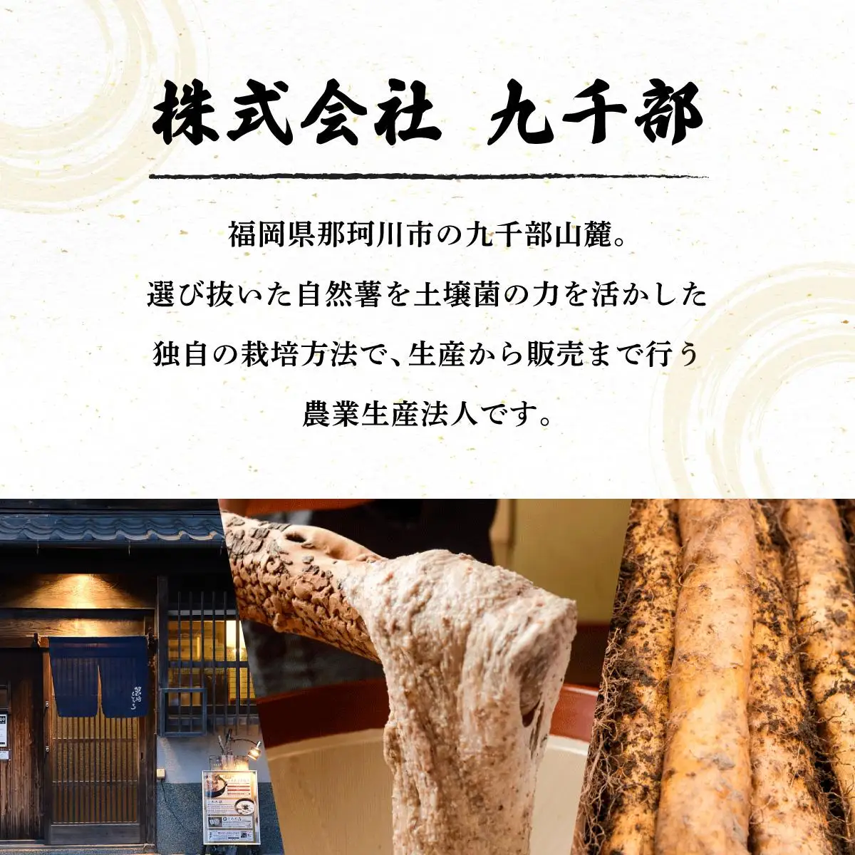 【先行予約】自然薯「九千部朱薯」600g～650g（2本）