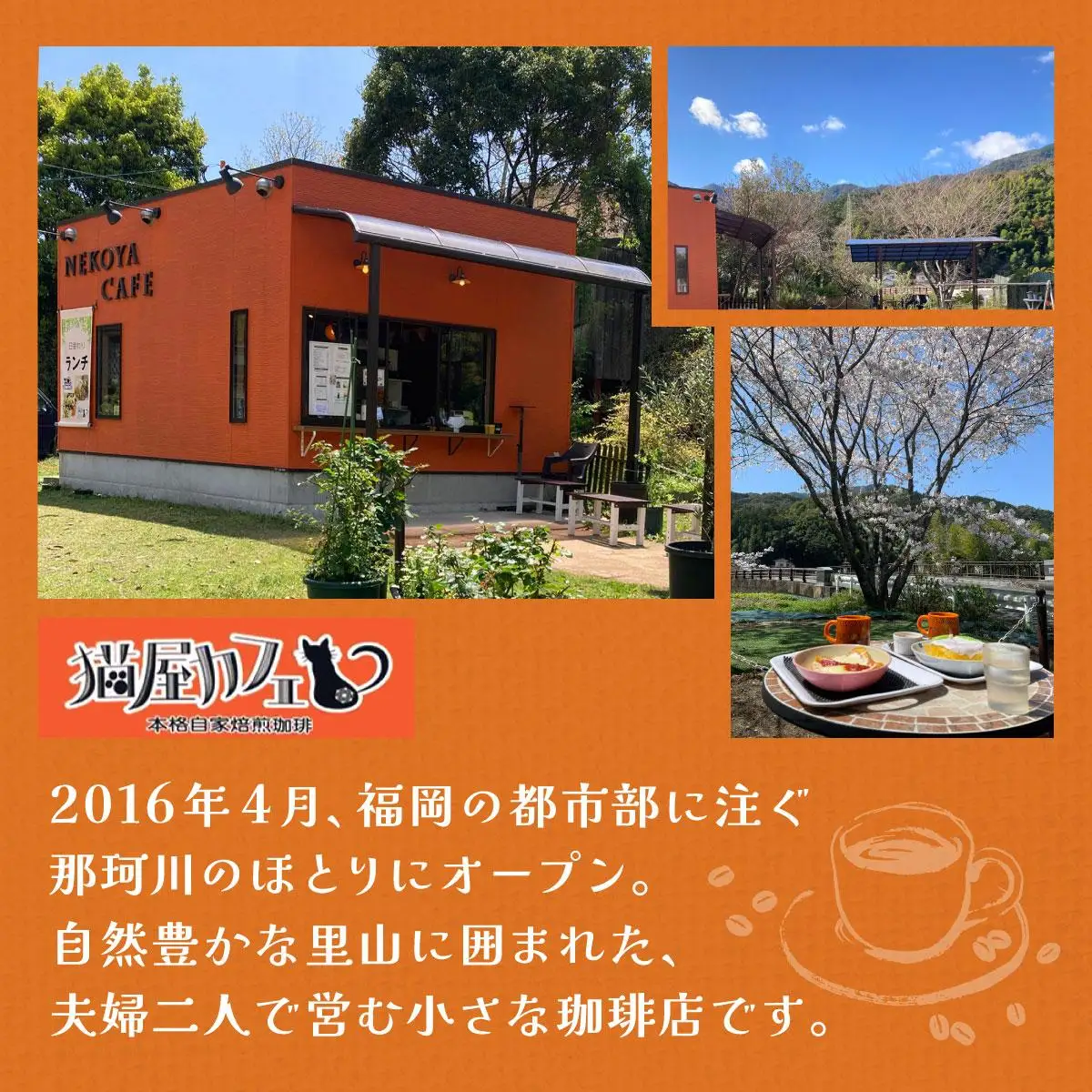 申込後に自家焙煎！魅惑のスペシャルティ コーヒー 4種セット【粉】1kg