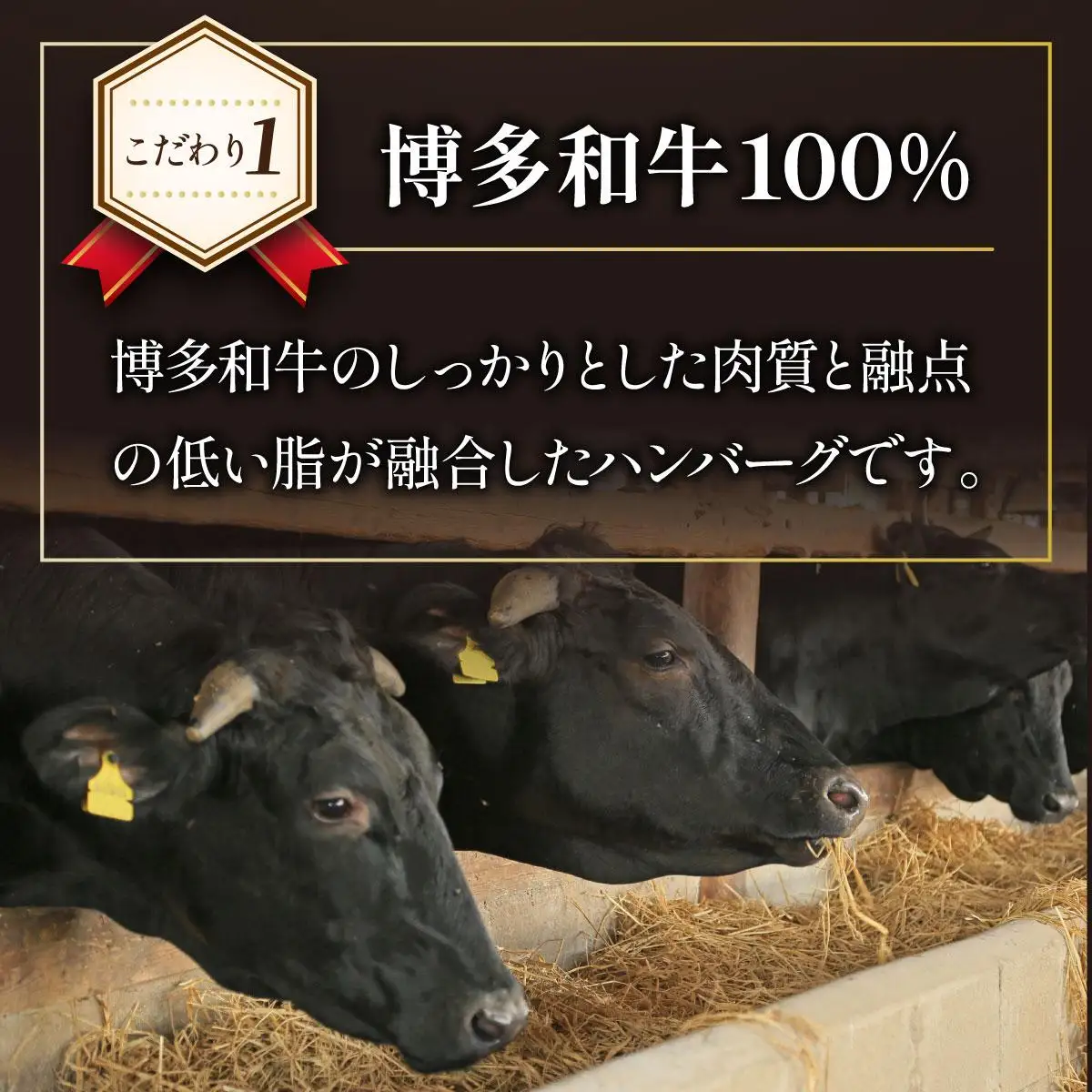＜定期便・全10回＞博多和牛100％！贅沢本格 手ごねハンバーグ 10個【久田精肉店】