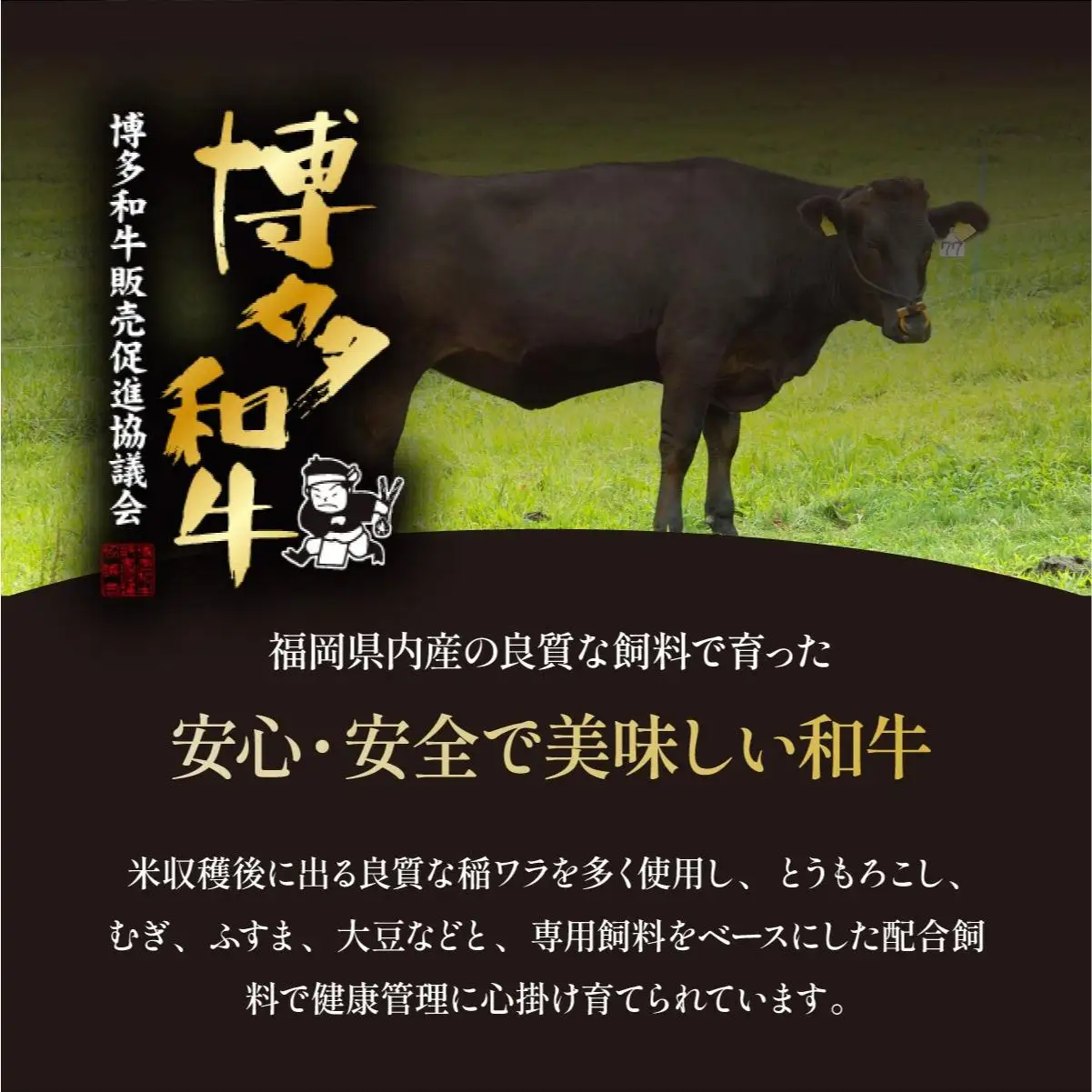 ＜定期便・全5回＞博多和牛 ヒレ シャトーブリアン（ダイヤモンドカット） 200g×1枚【久田精肉店】