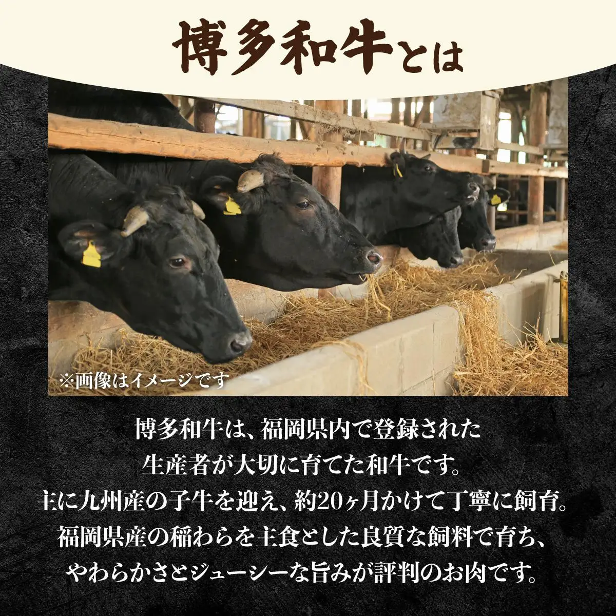 博多和牛 手作り餃子 80個（20個×4p）