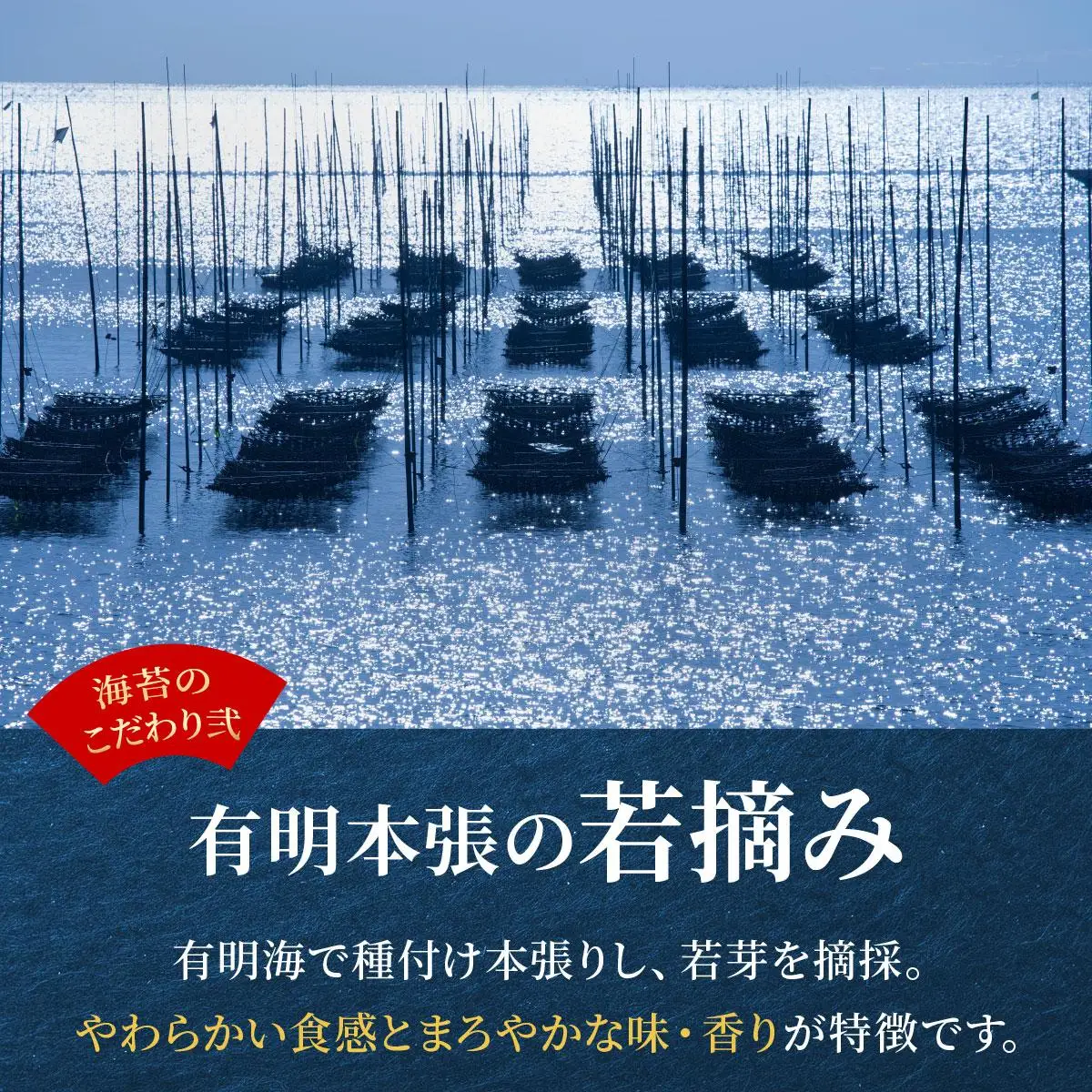 福岡有明のり 味付海苔「潮風のたより」10切80枚×6本セット（合計480枚）味付海苔