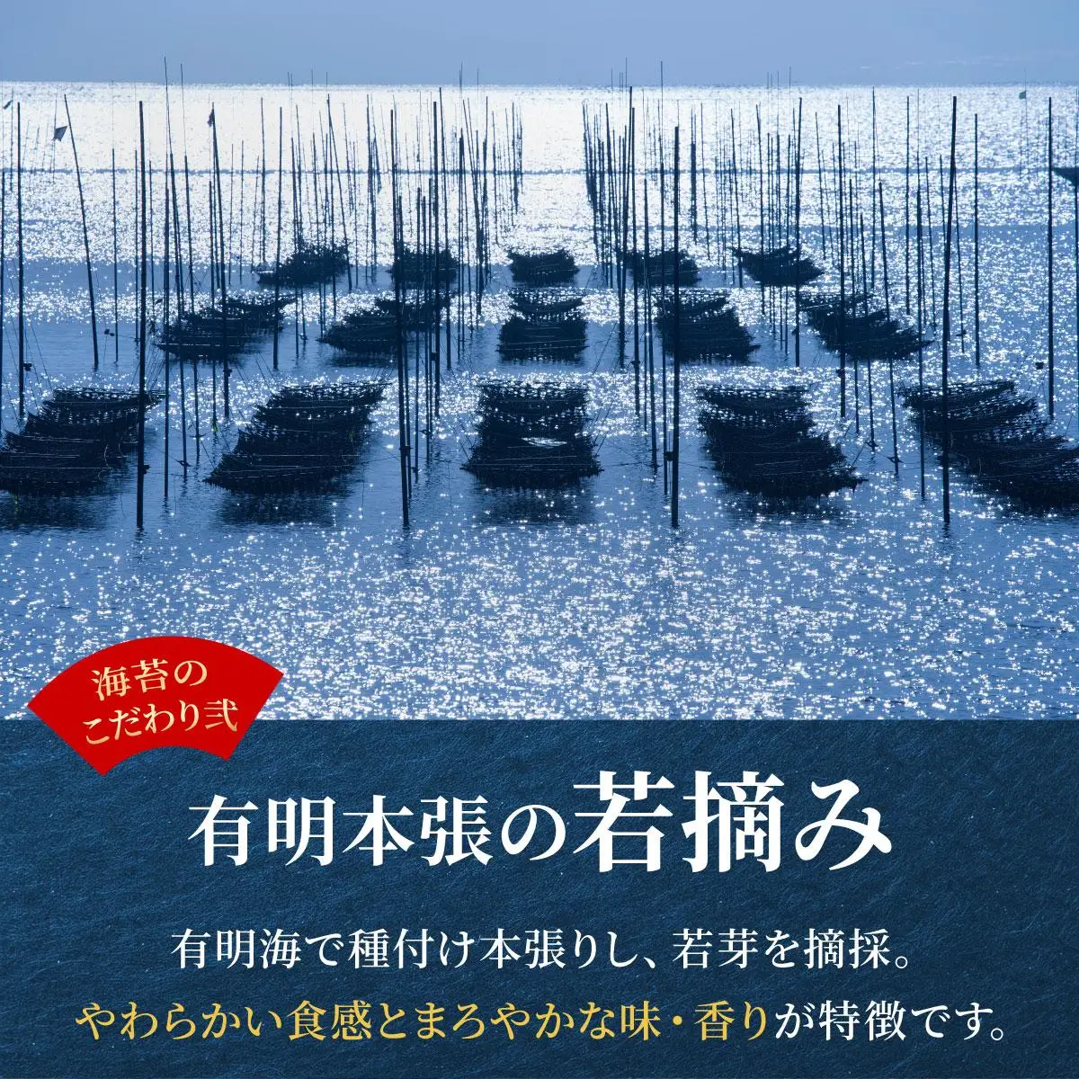 ＜定期便・全2回＞松：味付海苔12切×5枚×50束×2(計100束) 福岡有明のり 添加物不使用