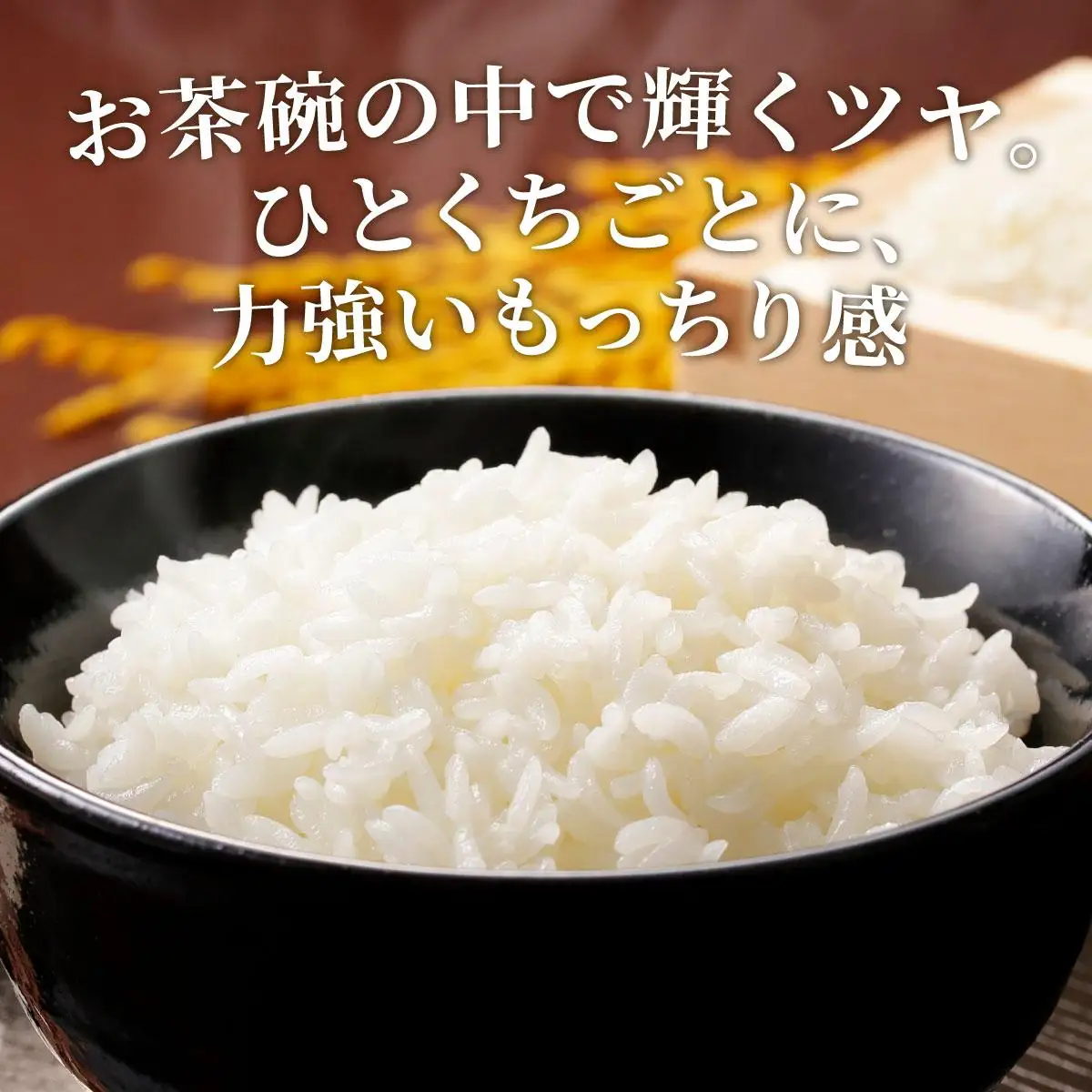 元気つくし 白米10kg