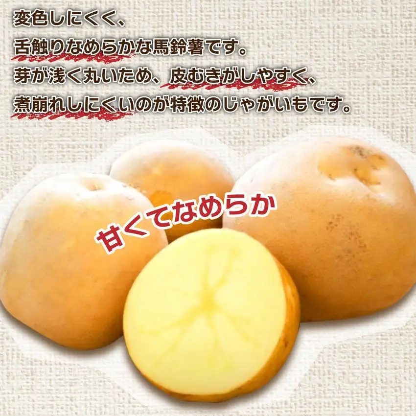 ＜先行予約＞北海道産 じゃがいも(とうや) 約10kg【hjf-004】