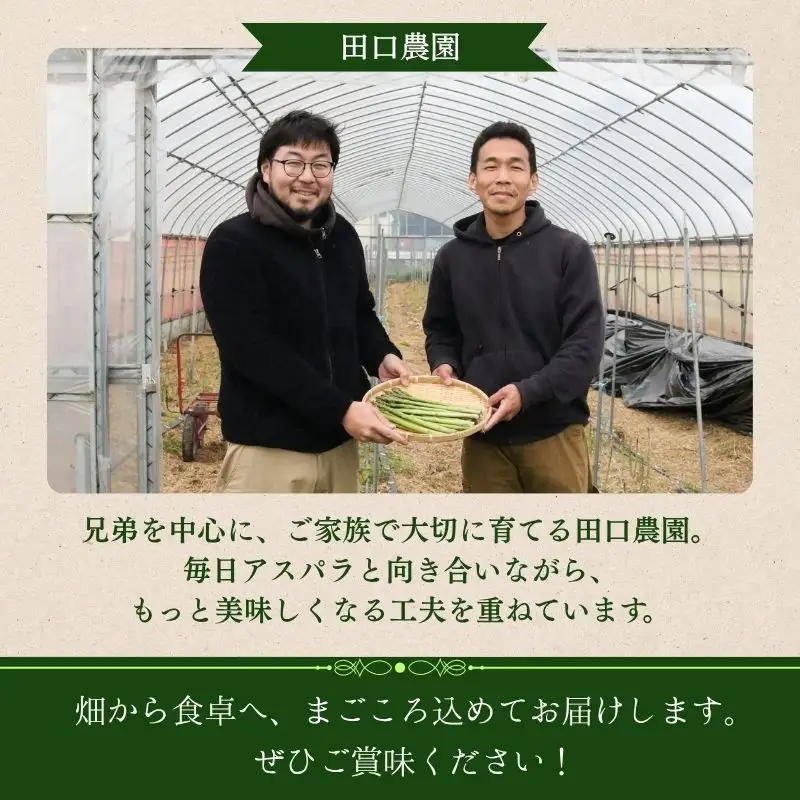アスパラガス 1kg M～Lサイズ 京都 久御山 朝採り 先行予約 夏芽 アスパラガス