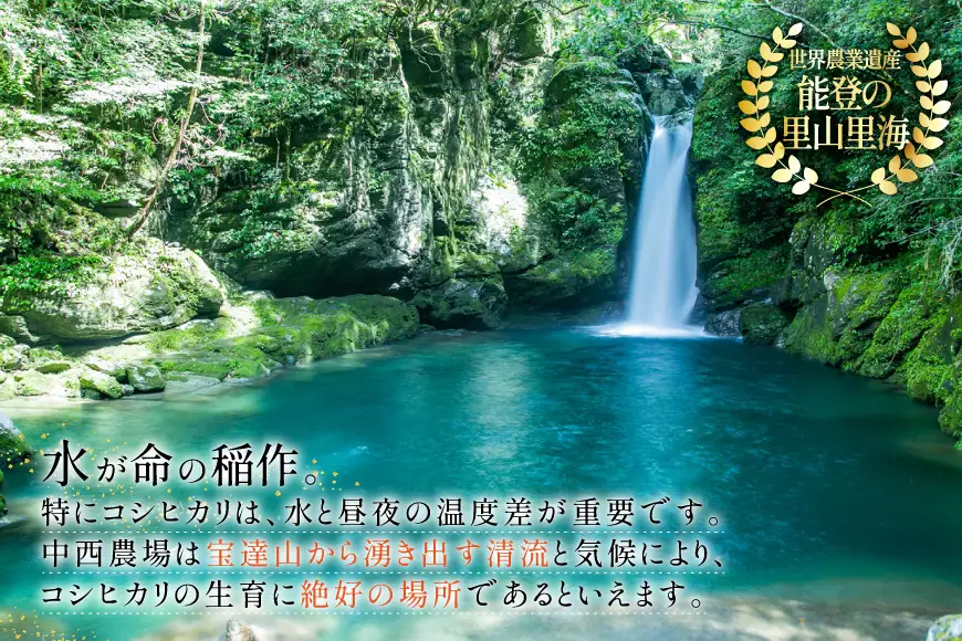 米 定期便 ひゃくまん穀 「弘宝米」 精米 10kg ×3回 総計 30kg [中西農場 石川県 宝達志水町 38601370]
