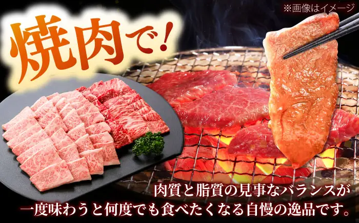 しまね和牛 2種の焼肉セット（カルビ400ｇ/モモ400ｇ）和牛 牛肉 赤身 焼肉 セット / 島根県雲南市 / フジキコーポーレーション株式会社[AIEA007]