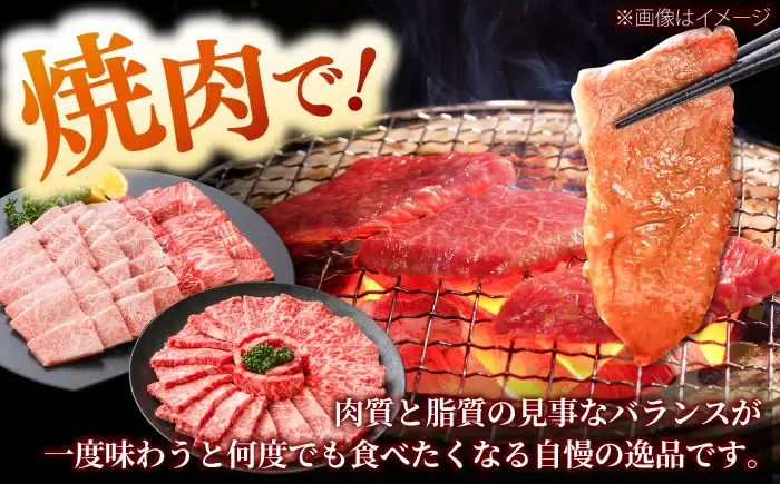 しまね和牛 3種の焼肉セット（カルビ400ｇ/モモ400ｇ/肩ロース400g）和牛 牛肉 赤身 焼肉 セット / 島根県雲南市 / フジキコーポーレーション株式会社[AIEA008]