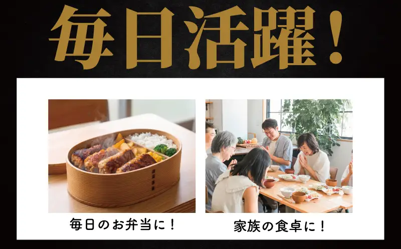 ハンバーグ20個 (4個入×5セット)計2kg  はんばーぐ 株式会社タカギフーズ