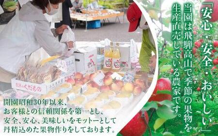 7月下旬～8月中旬 飛騨桃 約2.7kg（9～11個）| 桃 山本果樹園 MA013
