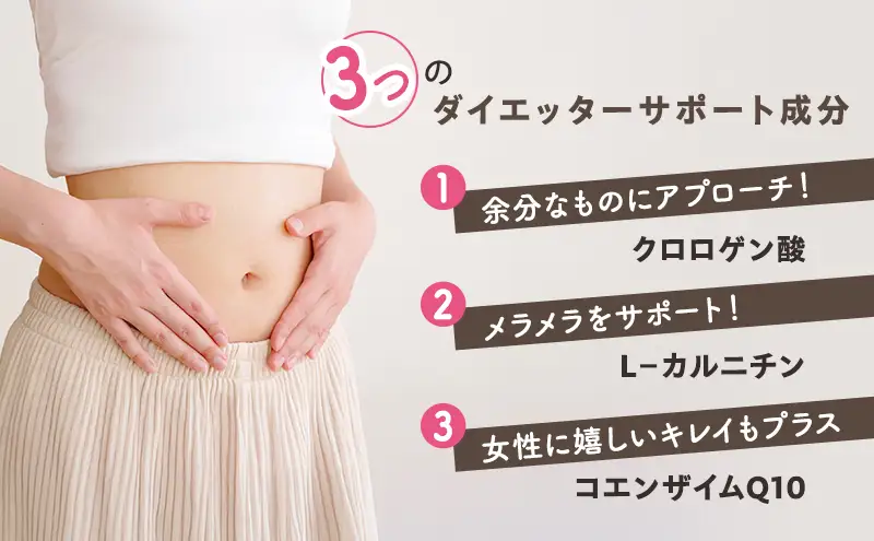 定期便 12回 エクササイズ ココア 8本入 1袋 美容 健康 ダイエット 飲料 ポリフェノール アミノ酸 食物繊維 コーヒークロロゲン酸 コエンザイムQ10 L-カルニチン 燃焼サポート 送料無料 日本第一製薬 岐阜県 揖斐川町