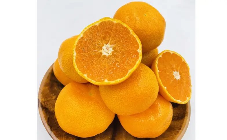 ハウスみかん ご家庭用 2kg 【7月下旬から順次発送予定】 みかん 人気 数量限定 柑橘 愛媛 伊予市｜B547