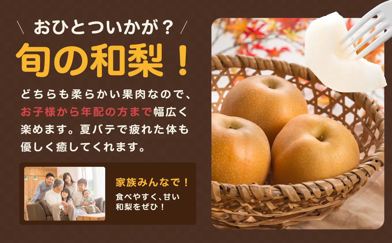 南信州産 梨 約5kg ＜ 幸水 ・ 豊水 ＞ いずれか1品種 おまかせ【2026年8月中旬～発送】
