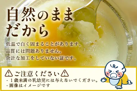 はちみつ 山の蜜 600g×1本 冷蔵｜国産 蜂蜜 百花蜜 ニホンミツバチ 希少 自然養蜂 瓶 もろっこはうす 宮崎県 諸塚村 MO-03