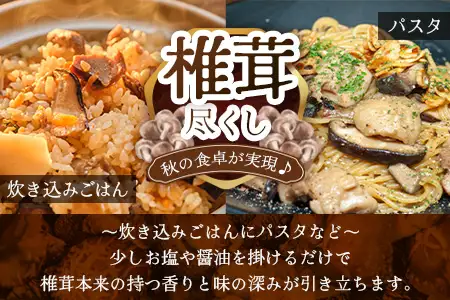 【世界初CoC認証取得！】宮崎県諸塚村産 乾しいたけ スライス 20g×6P 計120g 常温｜干ししいたけ どんこ 椎茸 冬菇 パスタ 味噌汁 原木栽培 家庭用 もろっこはうす MO-26