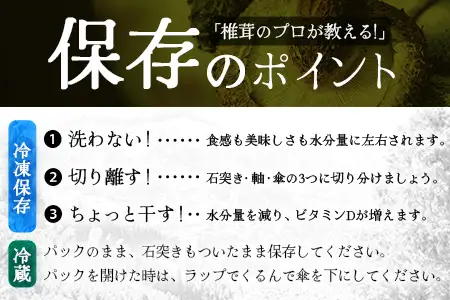 【先行予約】宮崎県諸塚村産 原木生椎茸 約650g［2026年9月～11月ごろにお届け］冷蔵｜しいたけ 生シイタケ きのこ キノコ 原木しいたけ 産地直送 秋の味覚 もろっこはうす MO-30