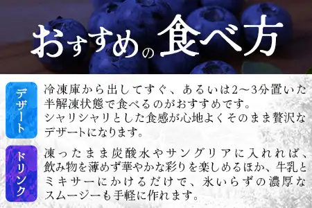 【数量限定】諸塚村産 冷凍ブルーベリー 約1kg｜ブルーベリー 果物 フルーツ 産地直送 スムージー ヨーグルト もろっこはうす 宮崎県 諸塚村 MO-34
