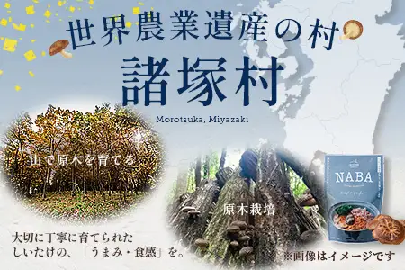 NABA バターチキンカレー 4食 セット 常温｜カレー レトルトカレー カレーライス なば しいたけ 椎茸 レトルト 簡単調理 常備 備蓄 おかず アレンジ 家庭用もろっこはうす 宮崎県 諸塚村 MO-35
