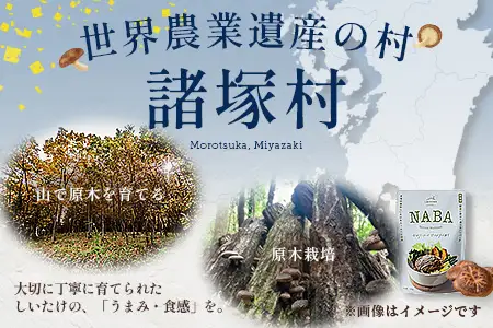 NABA ハンバーグアンチョビソース掛け 4食 セット 常温｜カレー レトルトカレー カレーライス なば しいたけ 椎茸 アンチョビ ハンバーグ レトルト 簡単調理 常備 備蓄 おかず アレンジ 家庭用もろっこはうす 宮崎県 諸塚村 MO-36