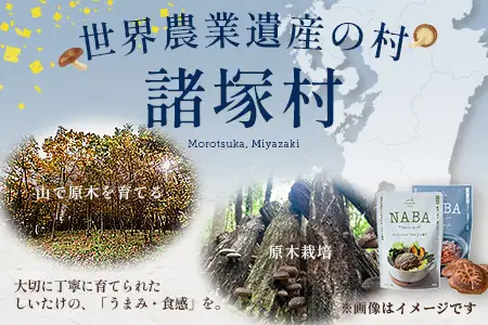 NABAカレー バターチキンカレー＆ハンバーグアンチョビソース掛け セット 2種各2食 計4食 常温｜レトルトカレー カレーライス なば しいたけ 椎茸 ハンバーグ アンチョビ レトルト 簡単調理 常備 備蓄 おかず アレンジ 家庭用もろっこはうす 宮崎県 諸塚村 MO-37