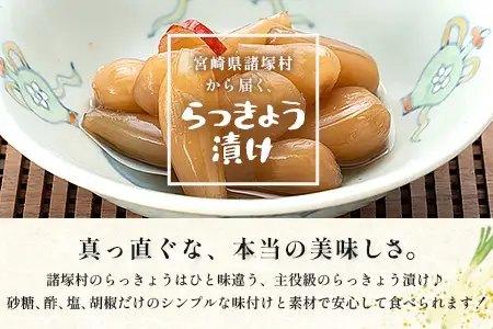 箸がとまらんおいしさ！ らっきょう漬け 150g×4P 常温｜らっきょう 漬物 お漬物 酢漬け おつまみ もろっこはうす 宮崎県 諸塚村 MO-43